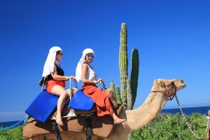 Actividad - *Exclusivo Safari & Camellos en el Desierto de CSL
