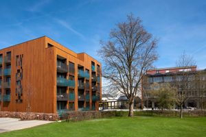 Alojamiento - Hotel NewStar