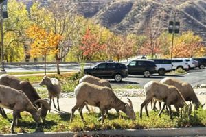 Alquiler Vacacional - Locally owned family-friendly mountain getaway!