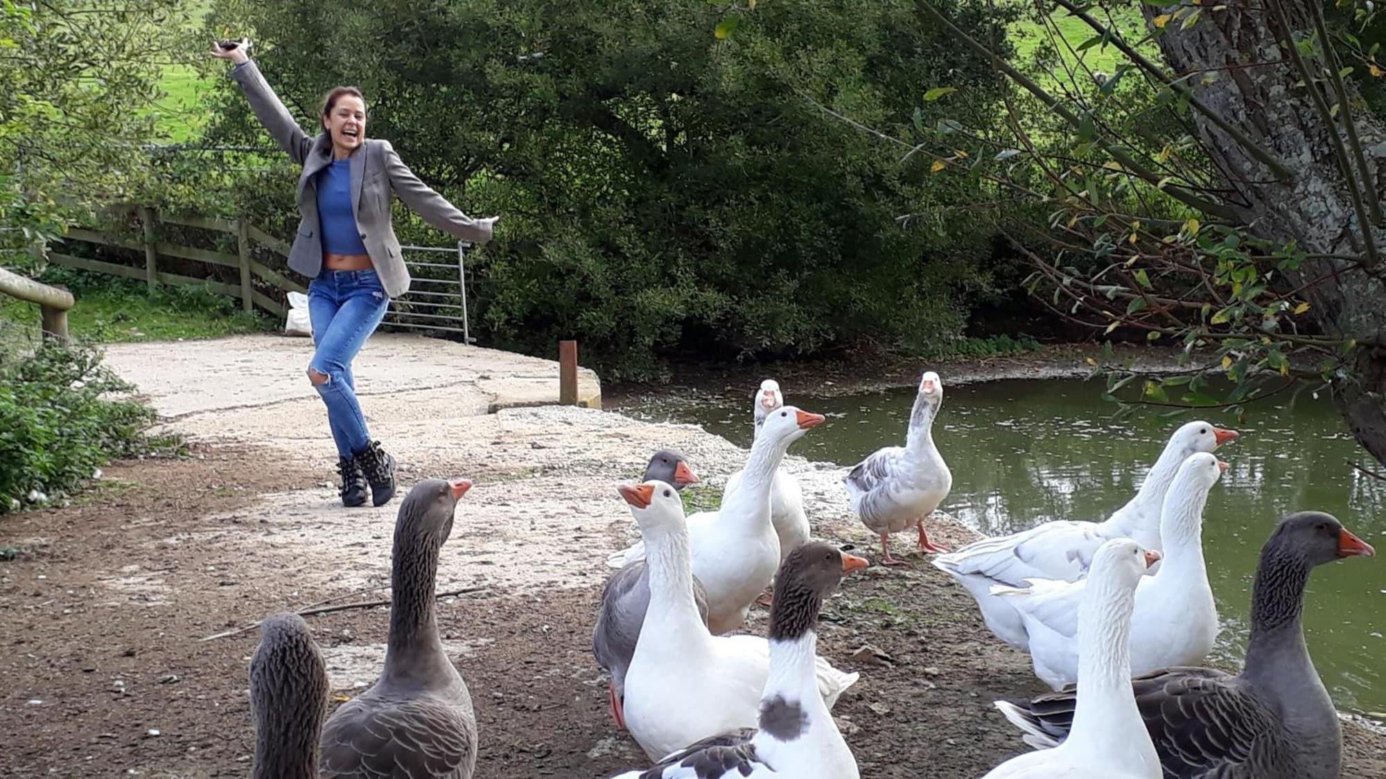 Gimnasio Godshill Park Barn