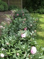 Alojamiento - Adventure Park Apartments