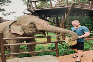 Actividad - Experiencia en Elephant Kingdom