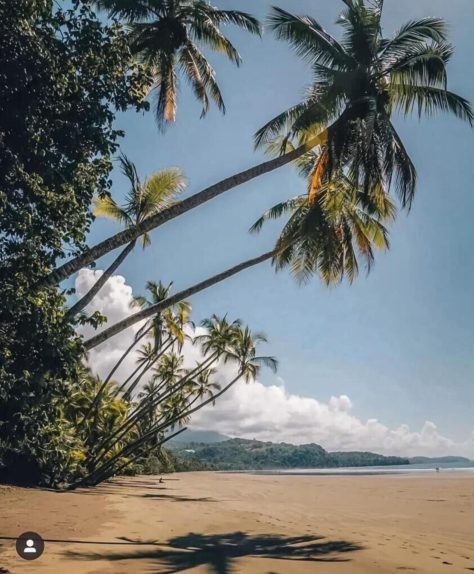Playa Yuli Hotel