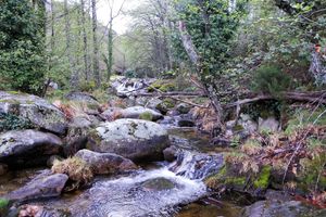 Alojamiento - Apartamentos Rurales Azabal