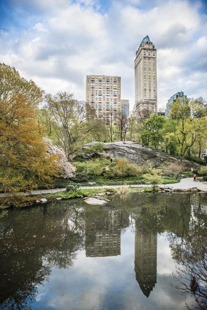 The Pierre, A Taj Hotel, New York by Google