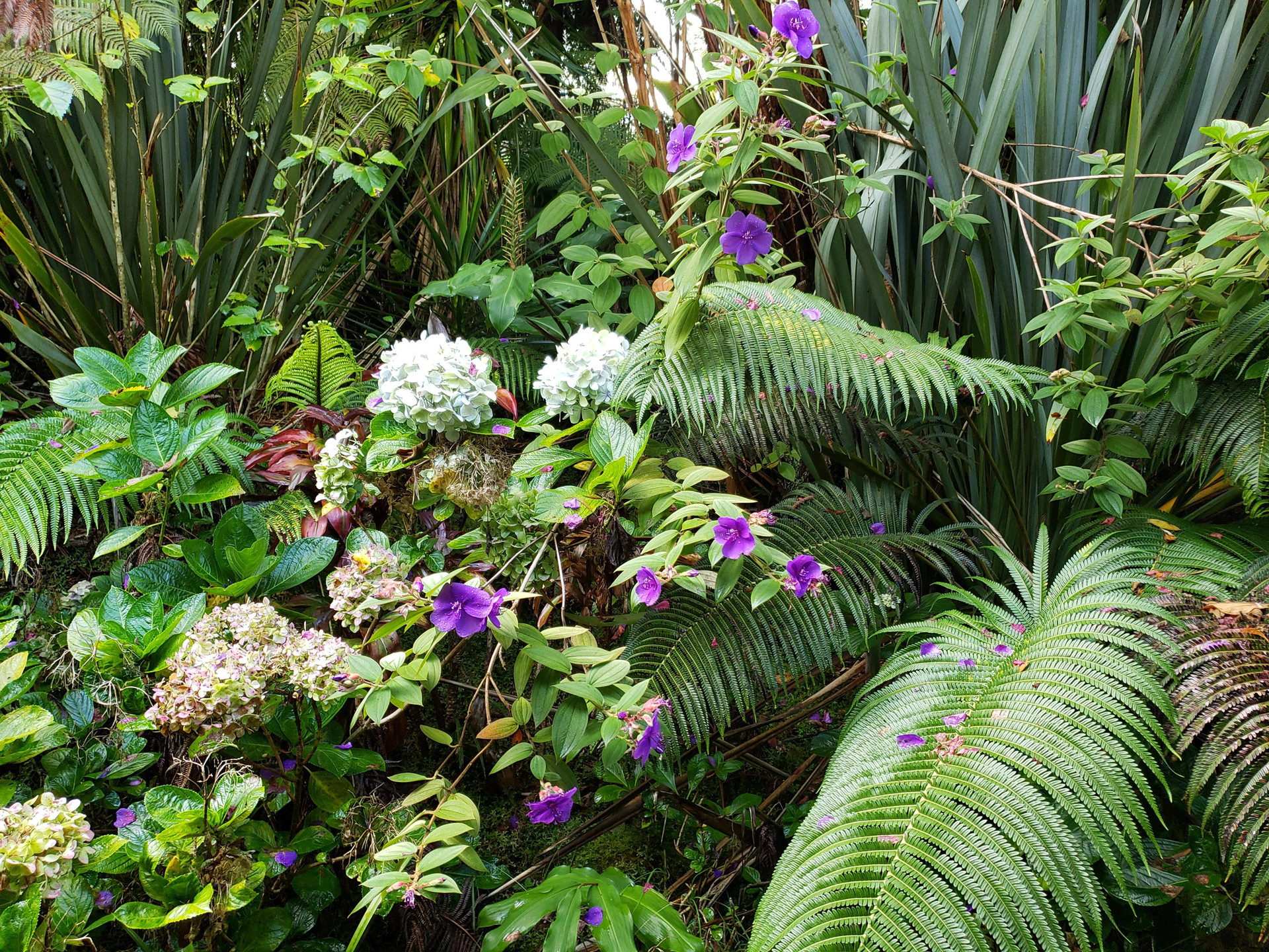 Vista Exterior Lokahi Lodge