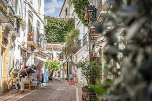 Alojamiento - Obal Hotel Marbella