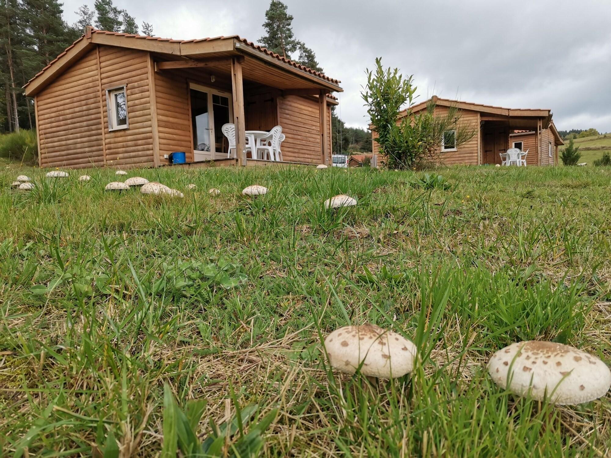 Vista Exterior Les Chalets du Haut-Forez