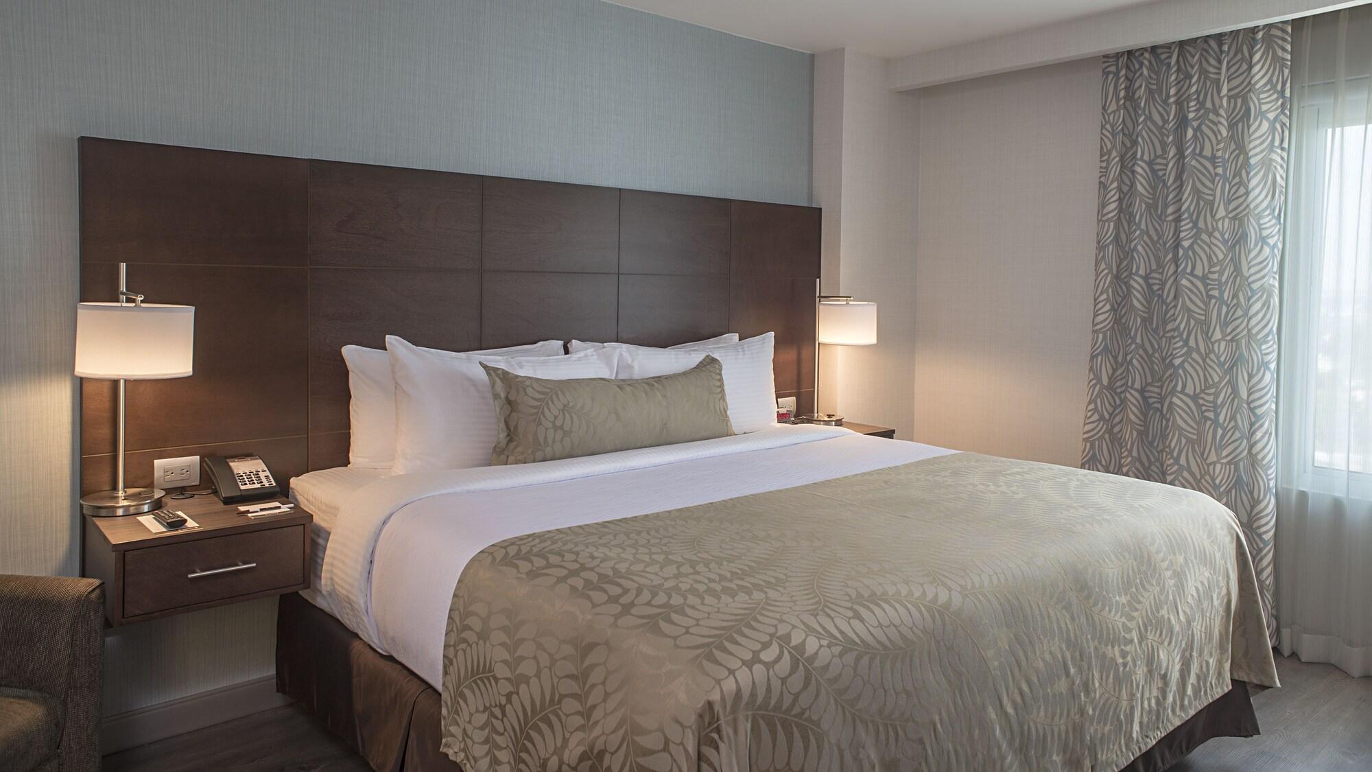Habitación Staybridge Suites Puebla by IHG
