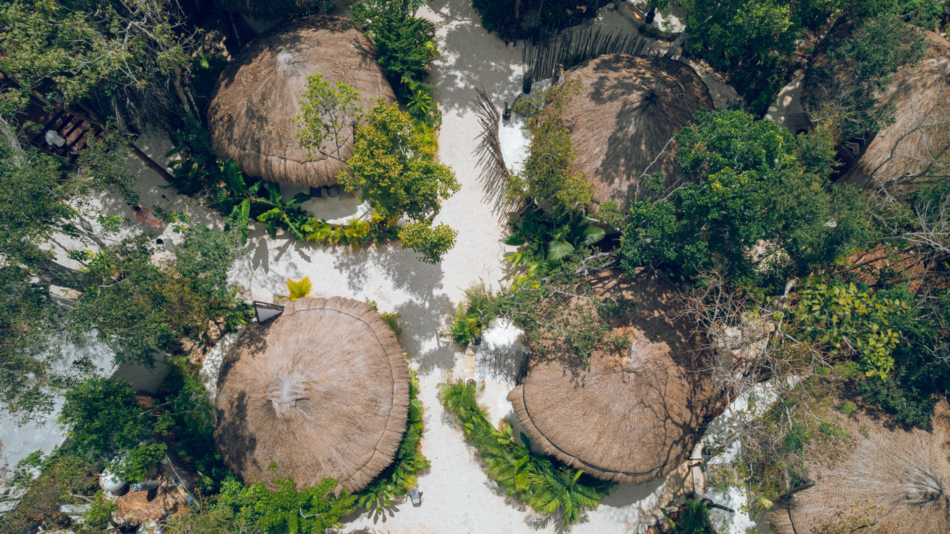 Vista Lobby The Yellow Nest