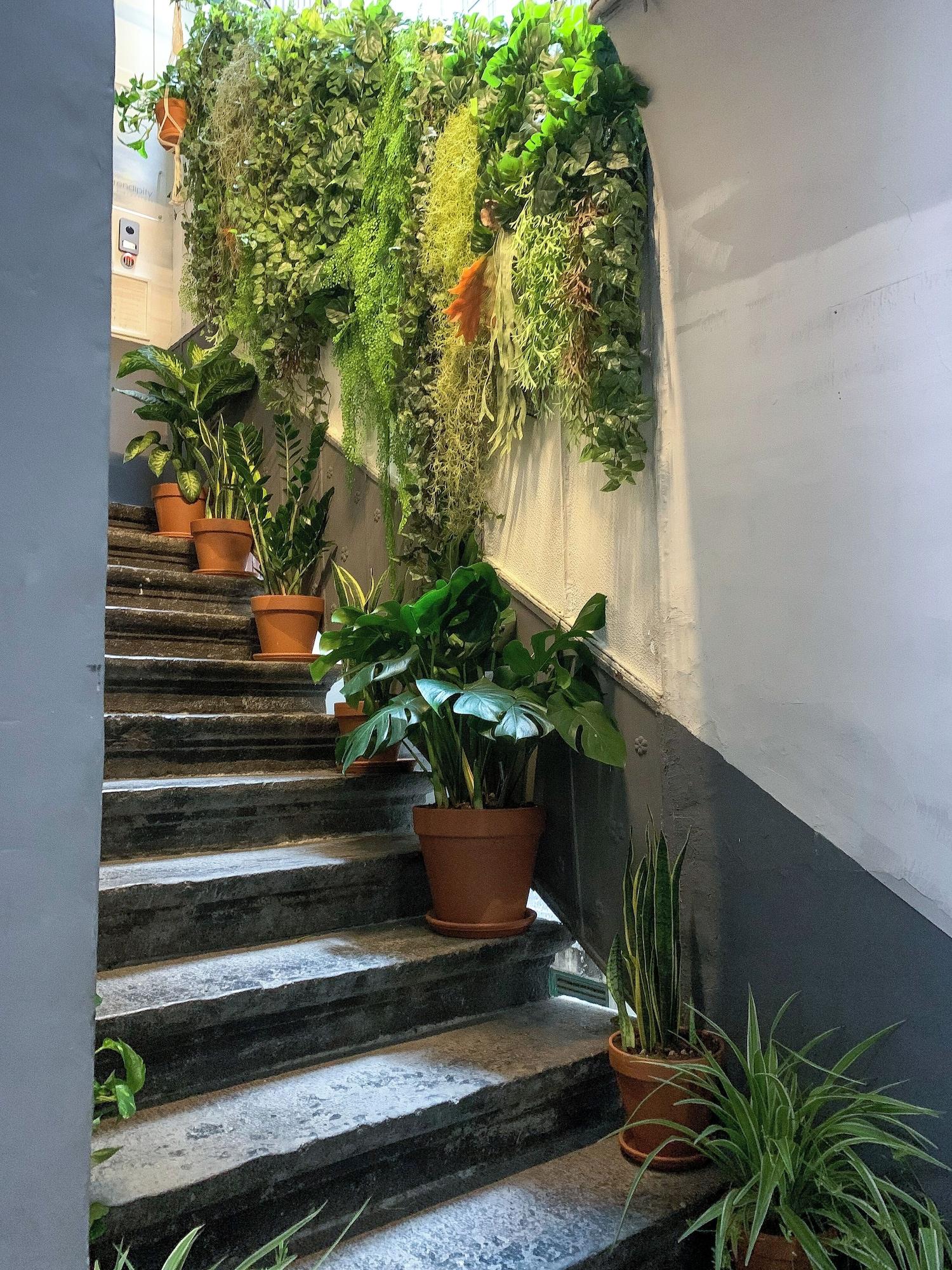 Vista Exterior Serendipity