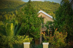 Alquiler Vacacional - Anassa Boutique Beach House | Registration number 00000855271