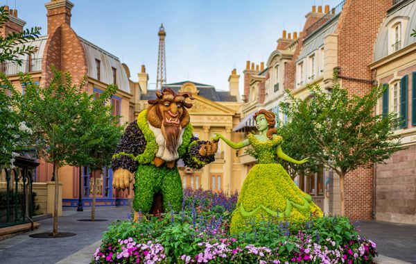 Recuerdos imborrables en Walt Disney World Resort