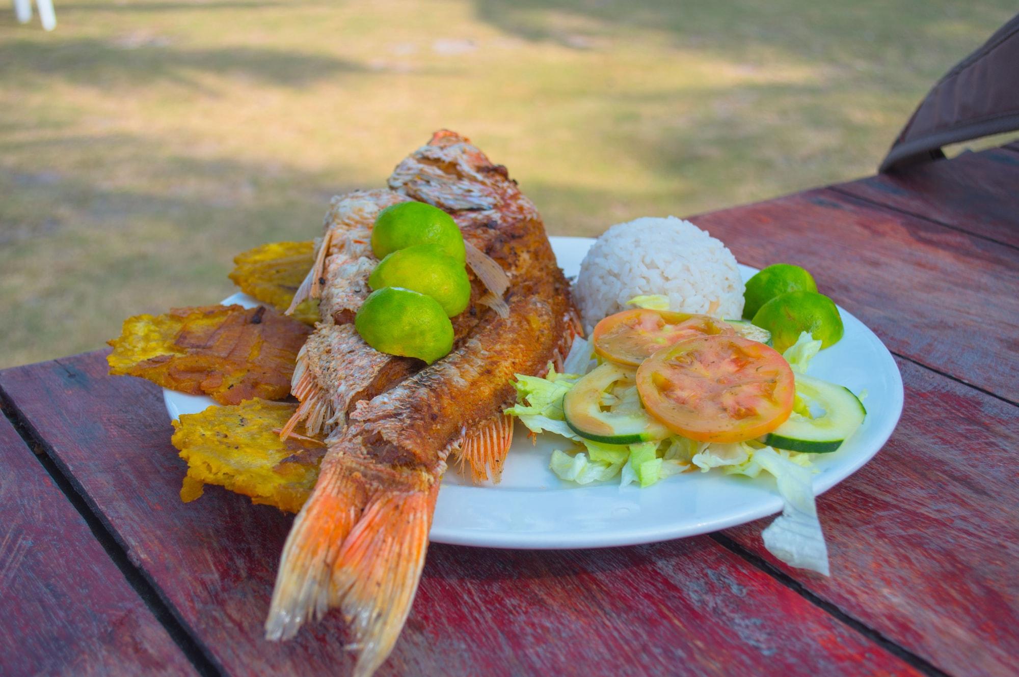 Restaurant Palmarito Beach Hotel
