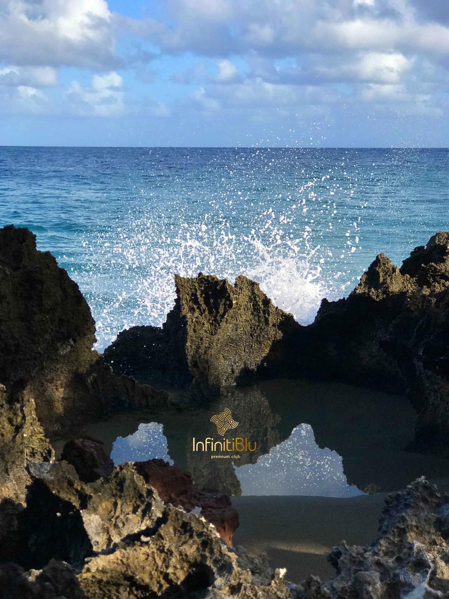 Vista Exterior Instyle Residences at Infiniti Blu