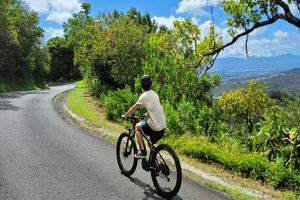 Actividad - Honolulu Rainforest Ride - E-bike Tour