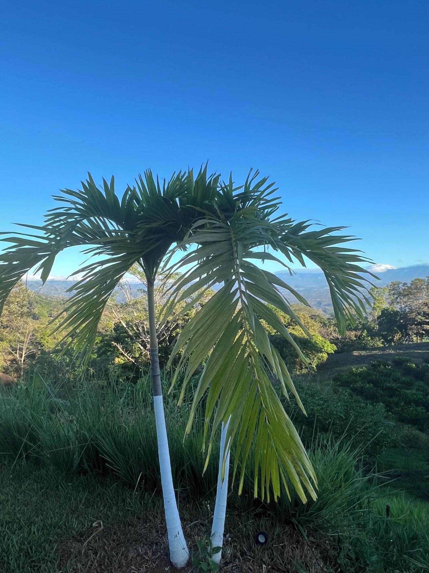 Equipamiento de Habitación Badu Lodge