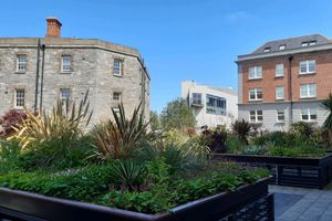Alquiler Vacacional - Griffith Halls Of Residence