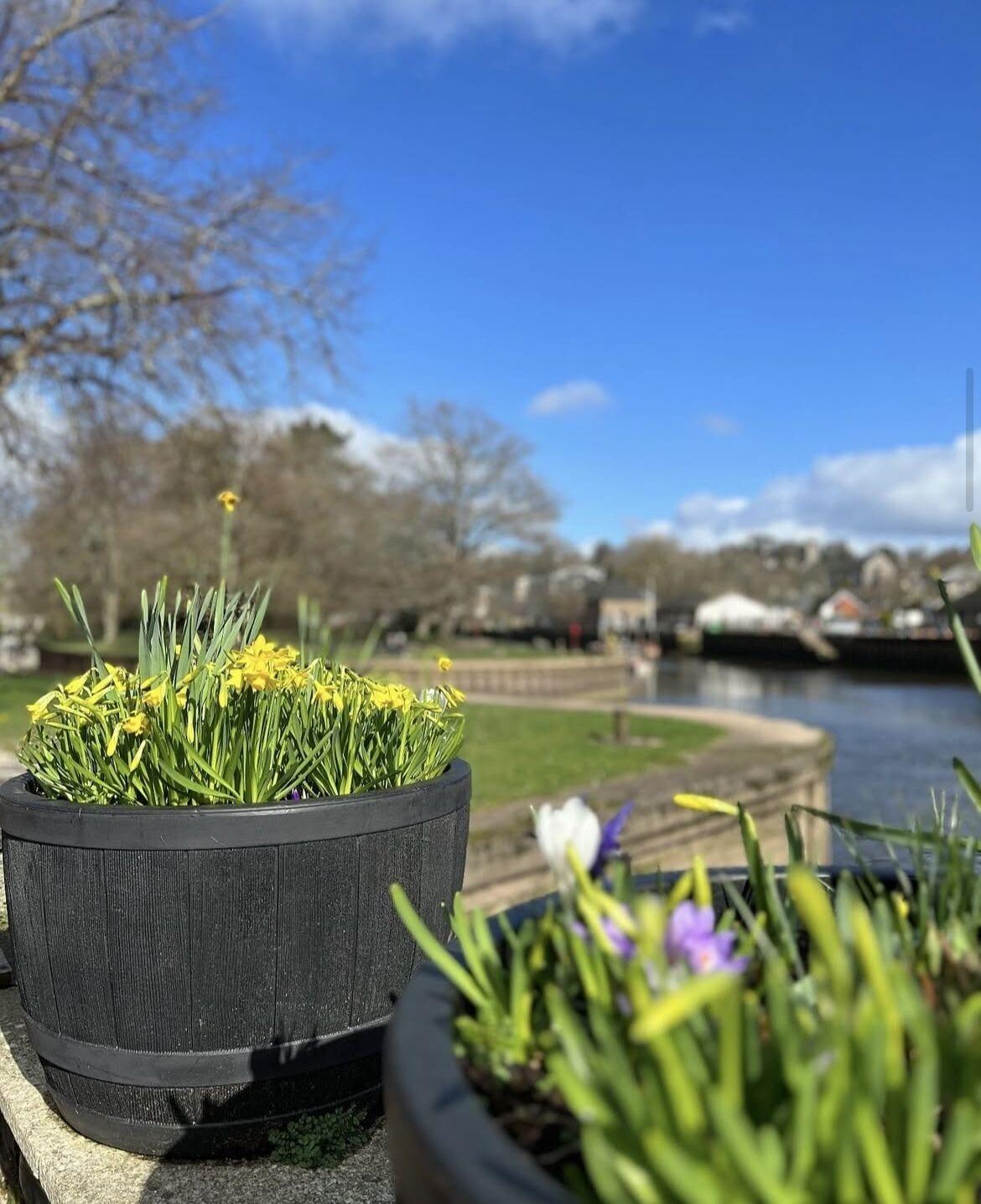 Vista Exterior Steam Packet Inn