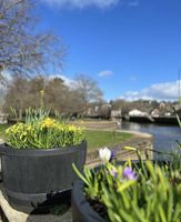 Alojamiento - Steam Packet Inn