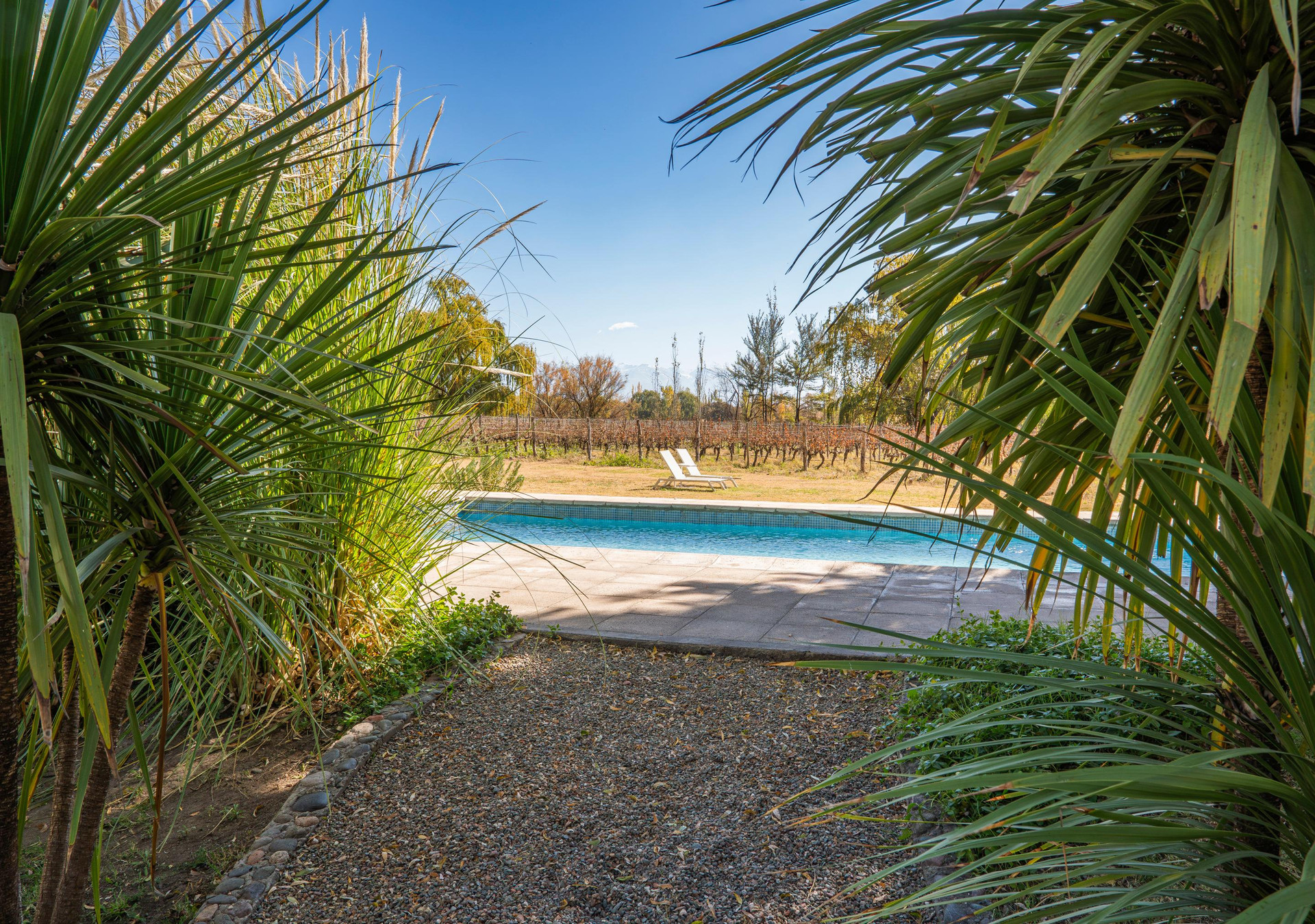 Vista Piscina Postales Finca & Bodega by DOT Boutique
