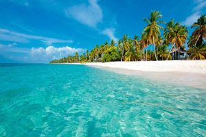 Actividad - Samaná + Playa Rincón + Cayo Levantado desde Bayahide