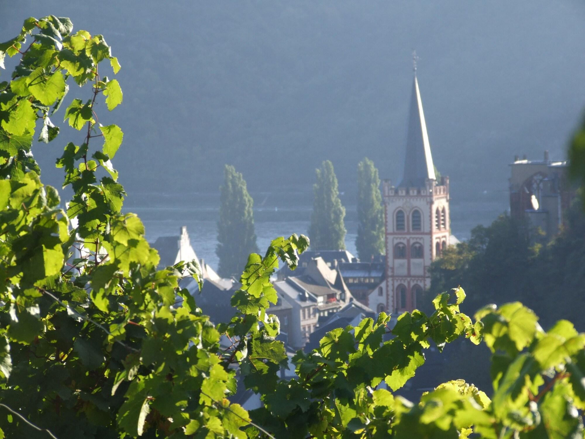 Vista Exterior Rhein Hotel Bacharach