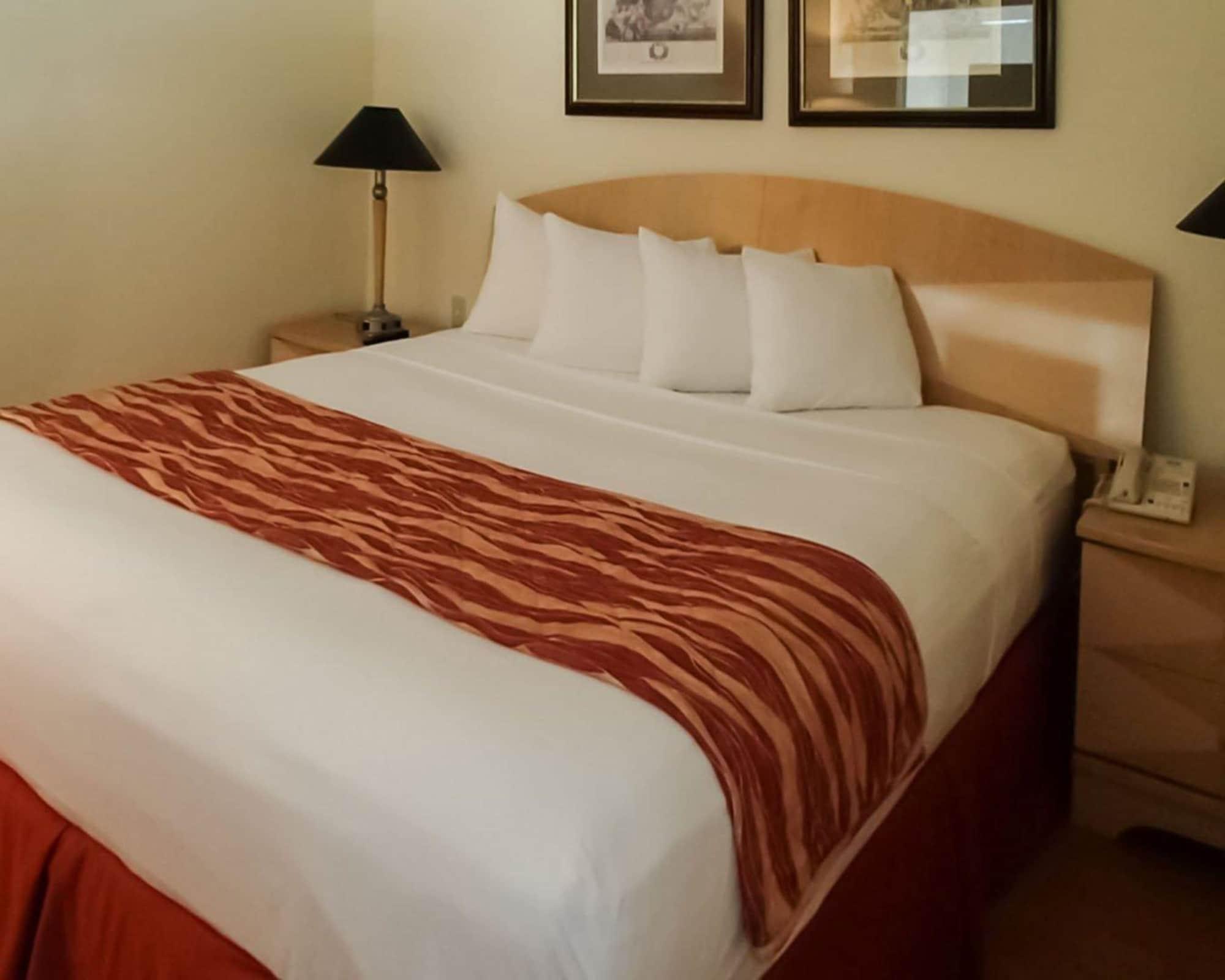 Habitación Rodeway Inn South Miami Coral Gables