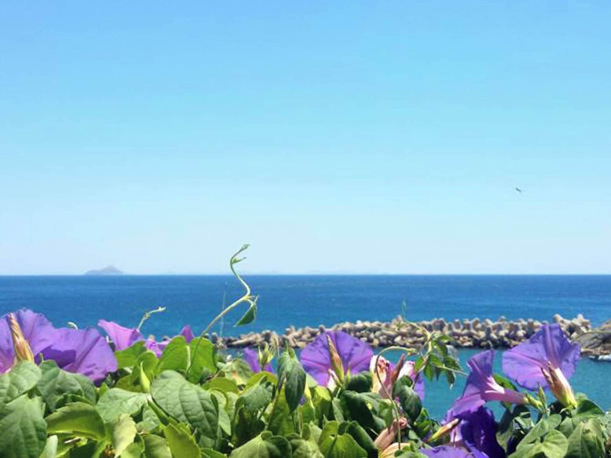 Vista Exterior IKARIA THERMA BLUE