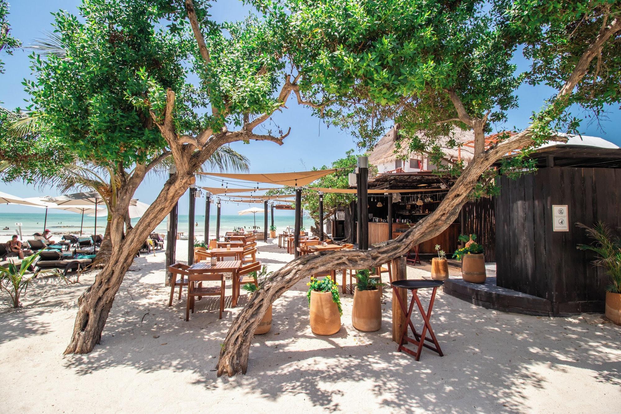 Playa HAU Holbox Beach Front