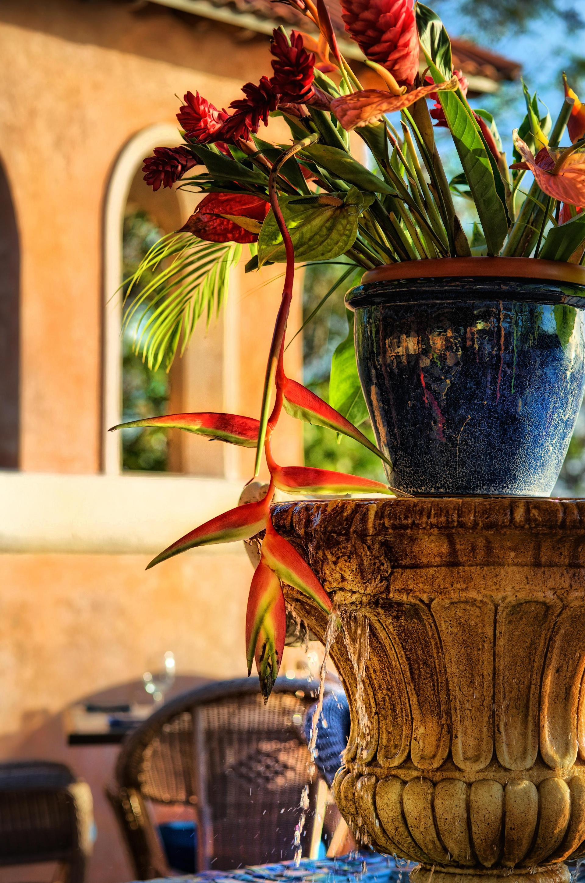 Restaurant Little Arches Boutique Hotel