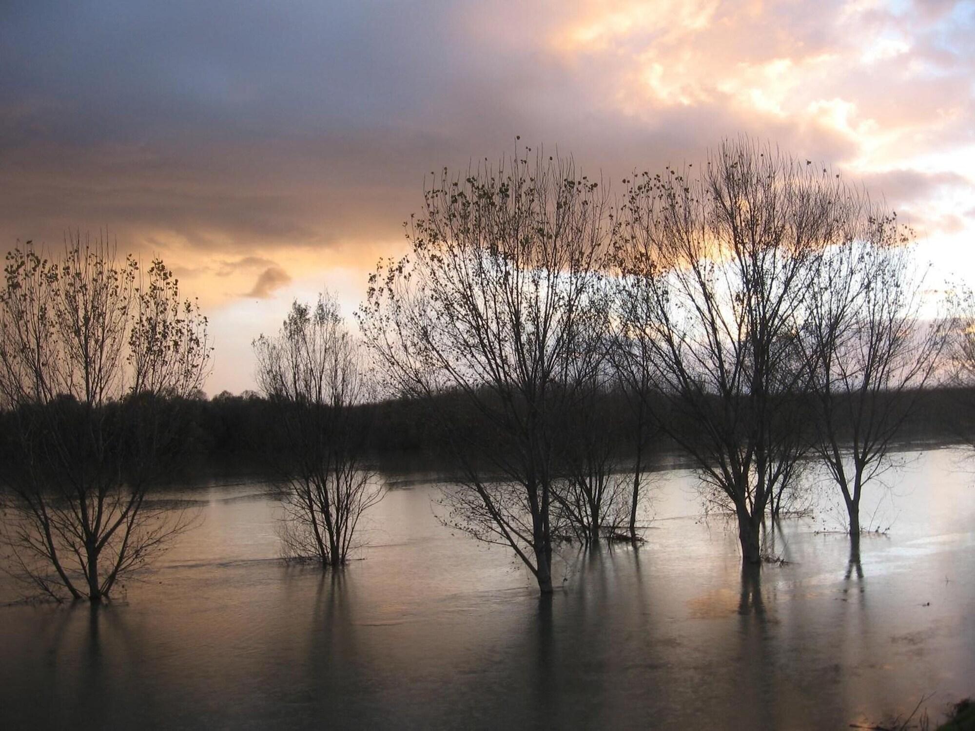 Comodidades del Alojamiento Agriturismo La Rovere