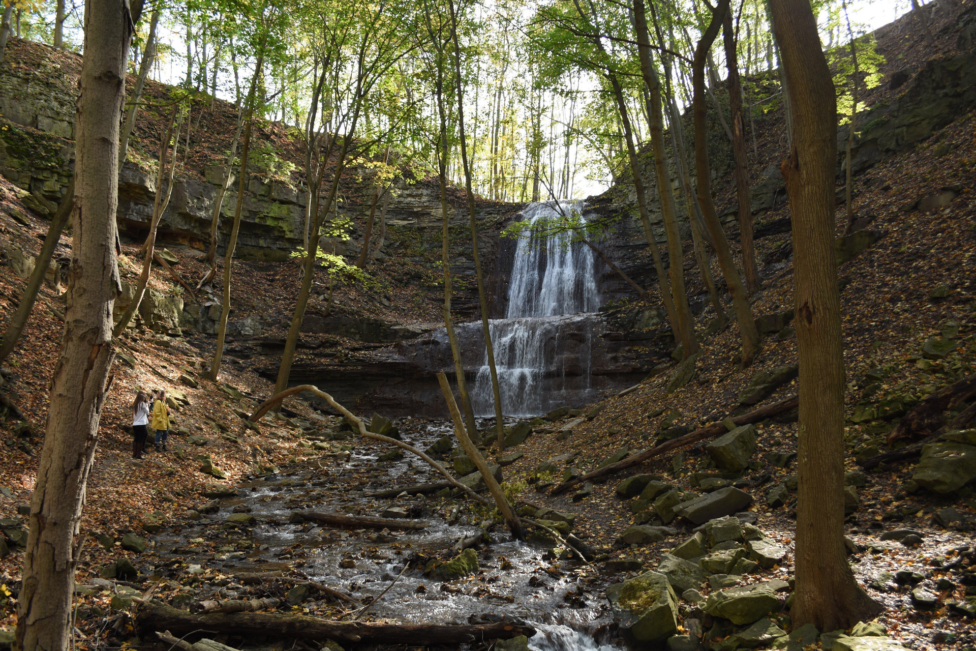 Vista Exterior Staybridge Suites Hamilton Downtown by IHG