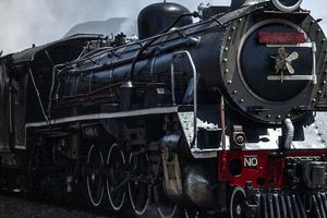 Actividad - Tren de vapor al Mercado Ferroviario de Elgin