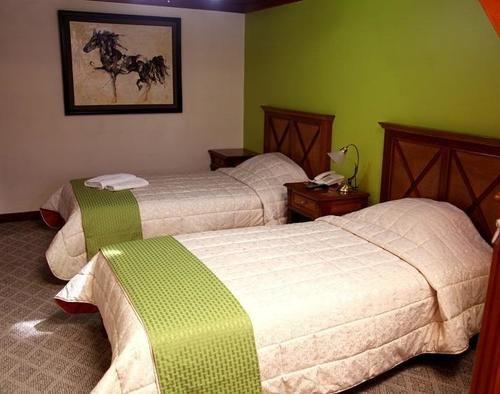 Hotel Hotel Boutique Palma Real Eco Suites