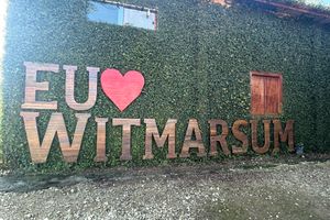 Activity - Witmarsum Senses