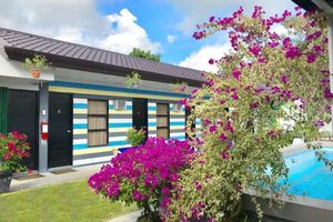 Alojamiento - Palmera Garden Hotel 1