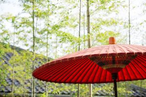 Alojamiento - Hoshino Resorts KAI Tamatsukuri