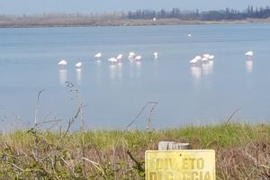 Alquiler Vacacional - Apartment in the countryside ideal for excursions Po Delta / Venice / Ravenna