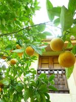 Alojamiento - Hotel Rural La Balconada
