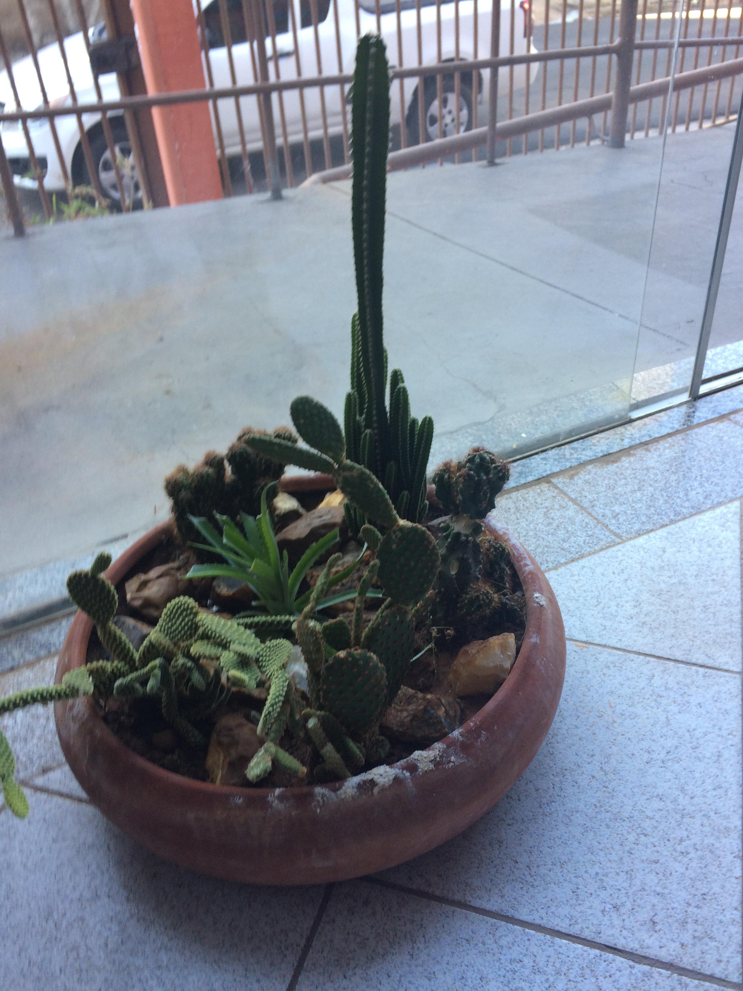 Instalaciones Recreativas Alfa Apart Hotel