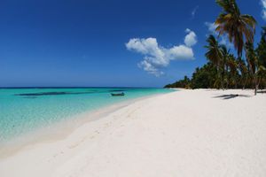 Actividad - Excursión Isla Saona VIP