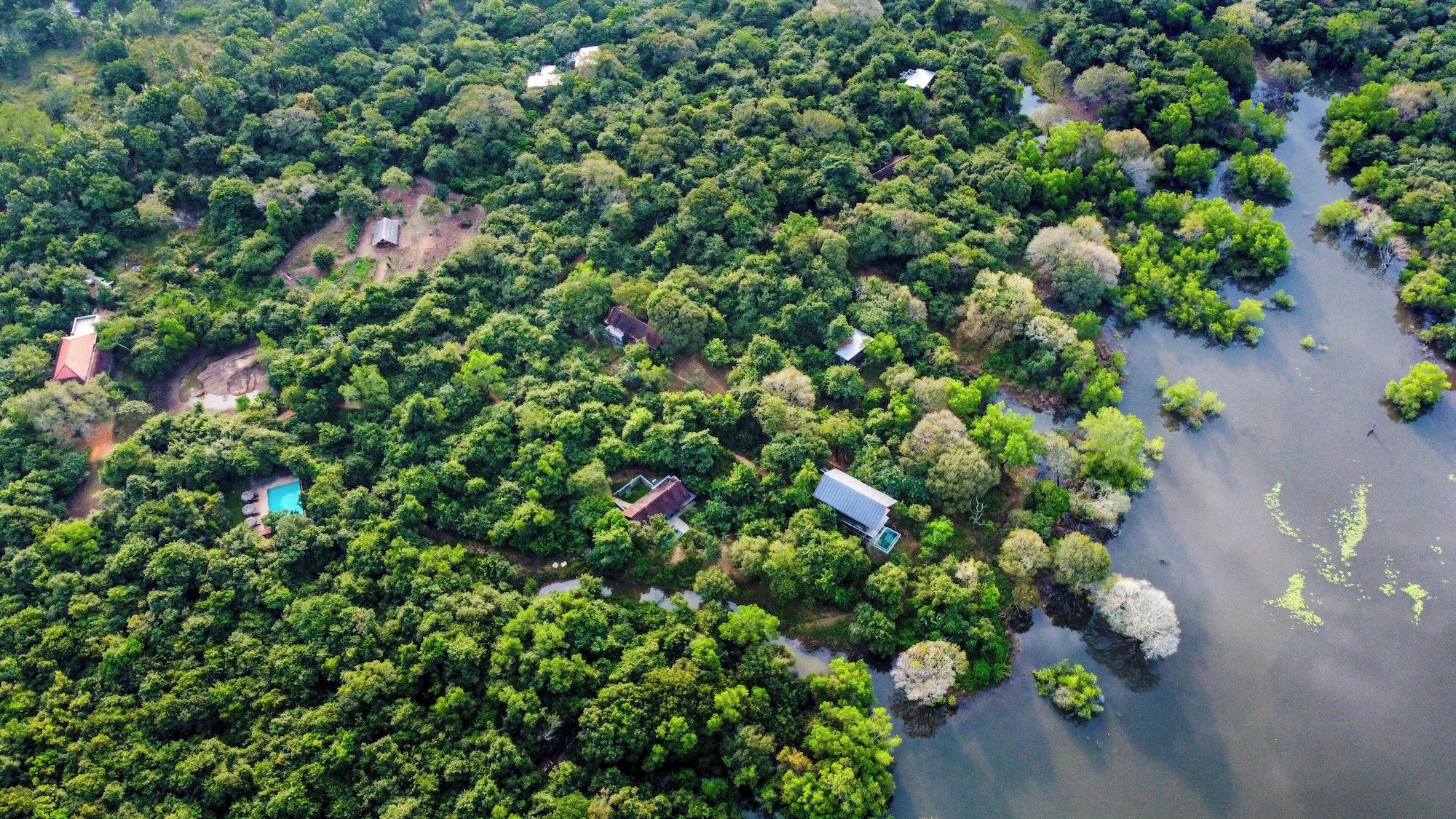 Vista Exterior Wild Grass Nature Resort