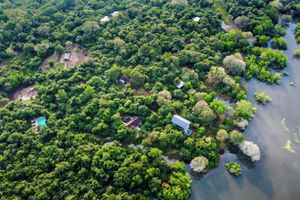 Alojamiento - Wild Grass Nature Resort