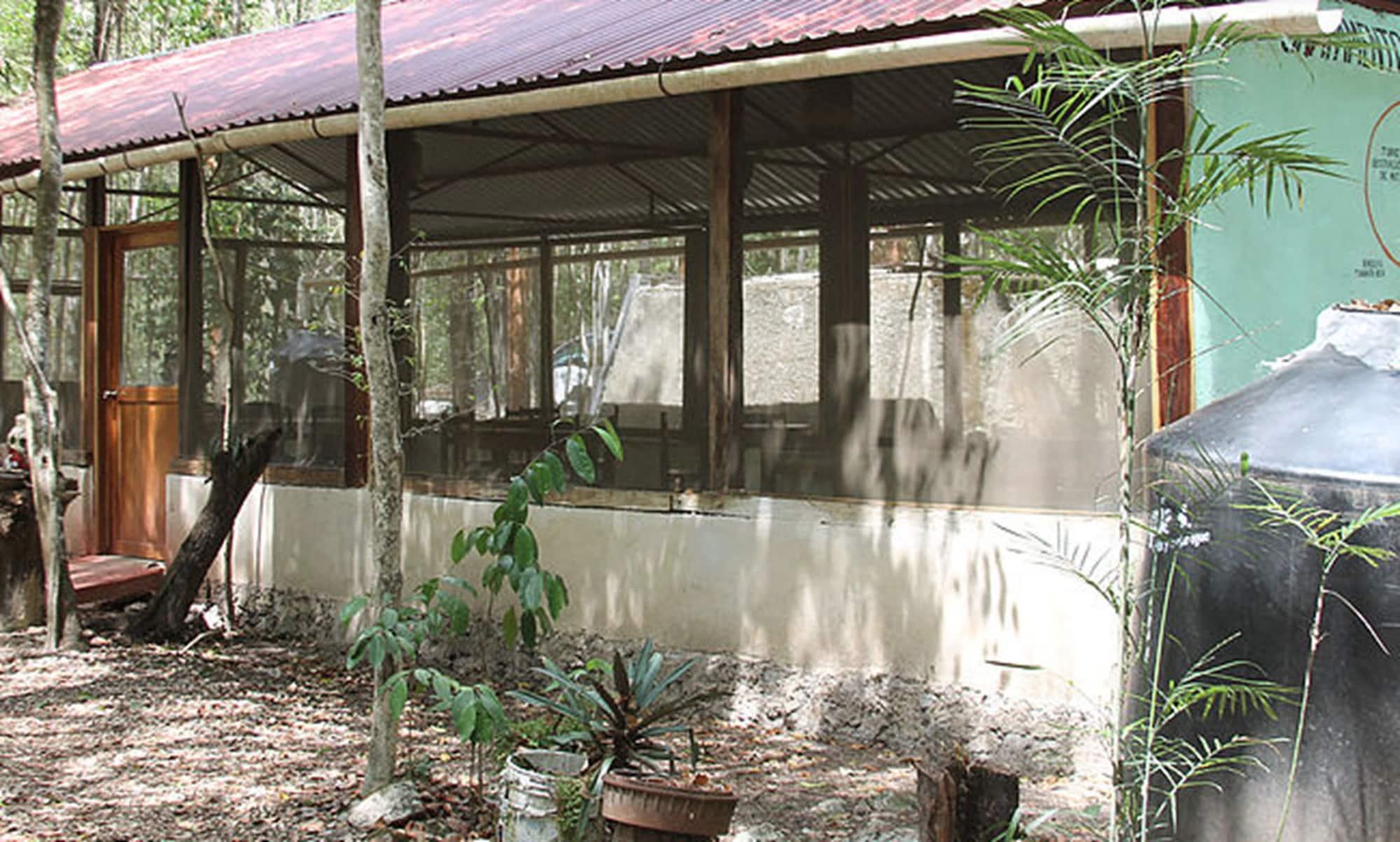 Vista Exterior Campamento Yaaxche en Calakmul