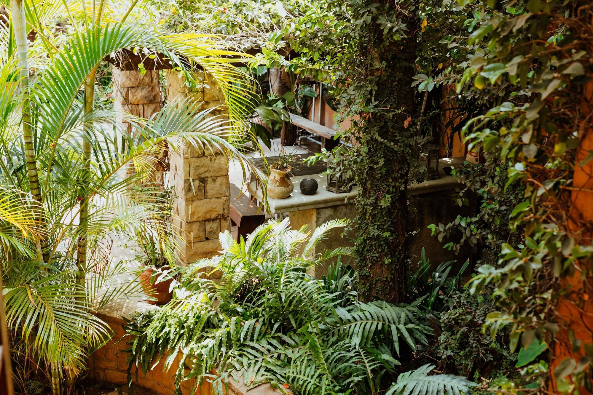 Vista Exterior Terra Casa