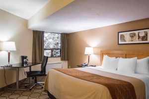 Alojamiento - Comfort Inn Airport East