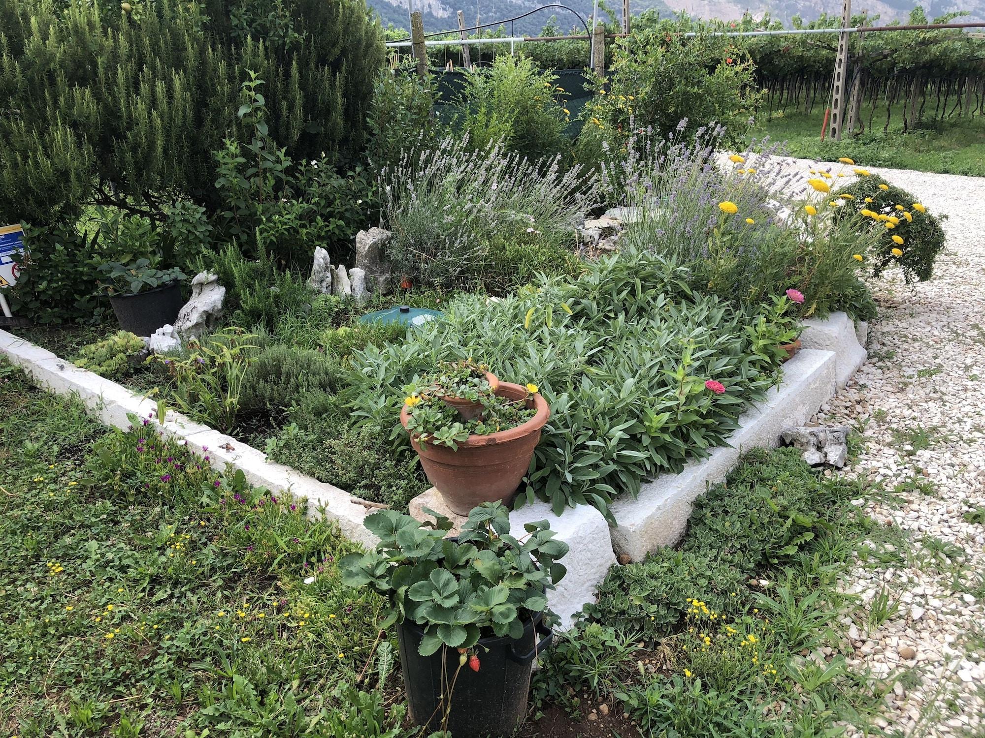 Vista Exterior Agriturismo Tre Forti