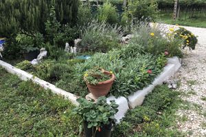 Alojamiento - Agriturismo Tre Forti