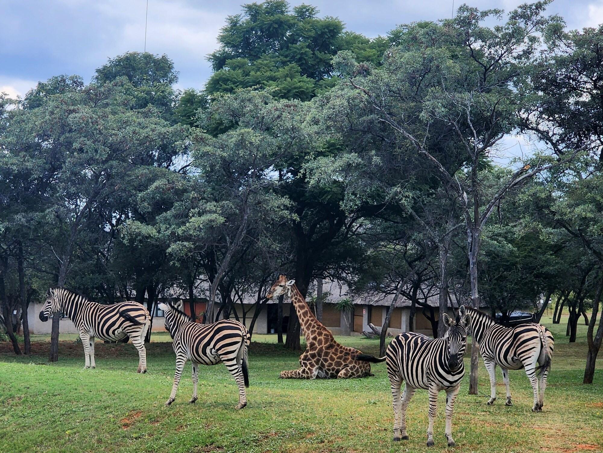 Vista Exterior Buyskop Lodge